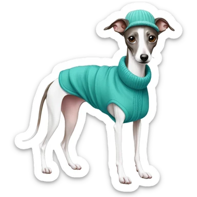 Italian Greyhound with clothes sticker