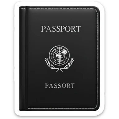 black passport with minimal silver details sticker