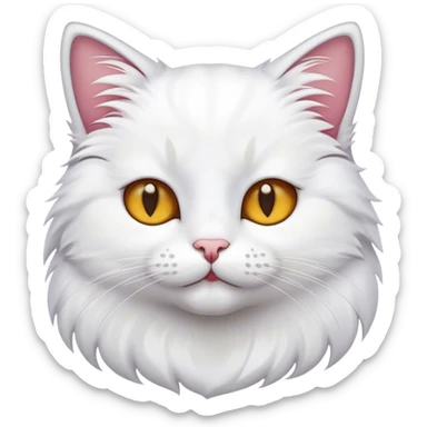 cat wit sticker