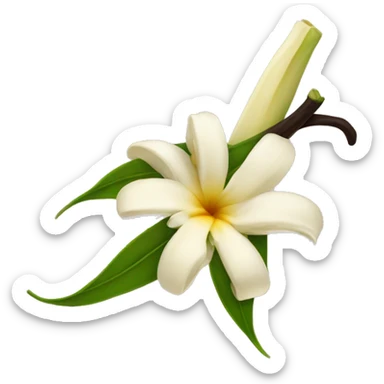  vanilla beans with flower sticker