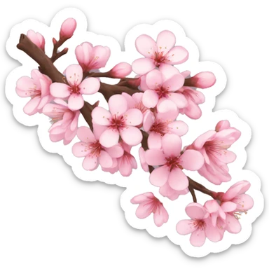 Sakura  sticker