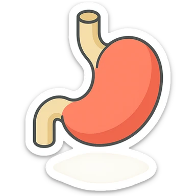 stomach, 2D isometric style, minimalist background, soft shadows and highlights, transparent background, infographic stylized variant sticker
