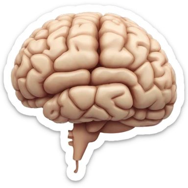 Cerebellum of brain without the rest of brain sticker