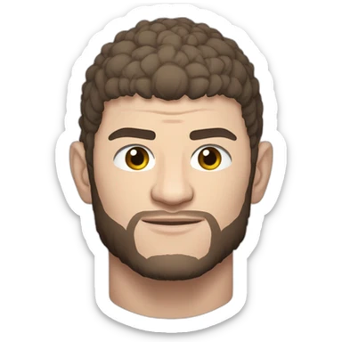 Ufc fighter khabib nurmagomedov Brasil sticker