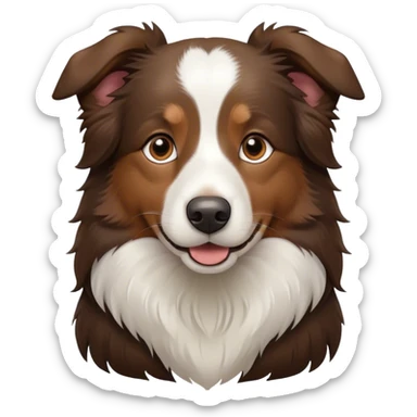 Border Collie mit geklappte Ohren und braune Augen  sticker