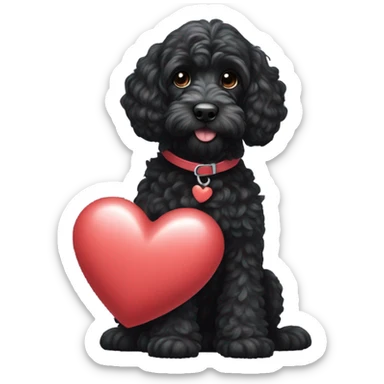 Black cockapoo with heart sticker
