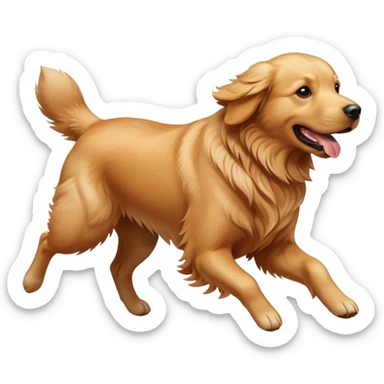 Golden retriever dog running at full speed sticker