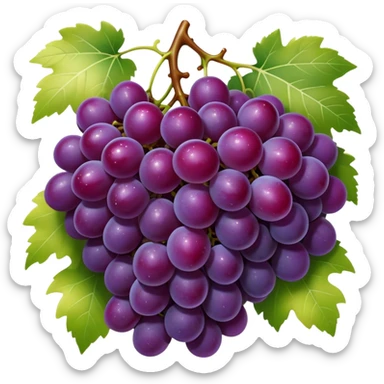 Cinematic glossy purple grapes, plump and dewy, gathered in a beautiful cluster, deep rich hues, ultra-detailed, fresh and juicy, soft glowing light. sticker