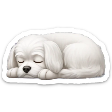 Sleeping Maltese dog sticker