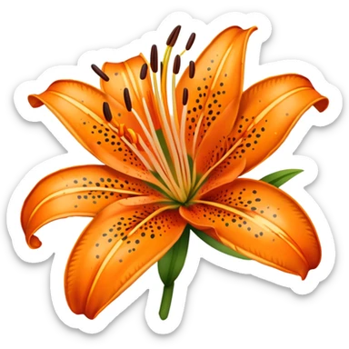 tiger lily  sticker