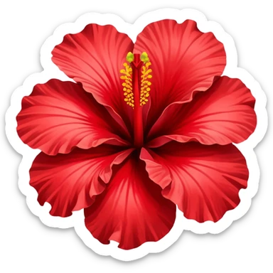 Hibiscus  sticker