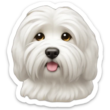 Coton de Tulear sleep sticker