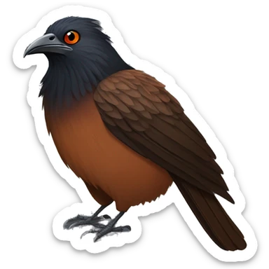 Greater coucal sticker
