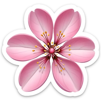 CHERRY BLOSSOM’ sticker