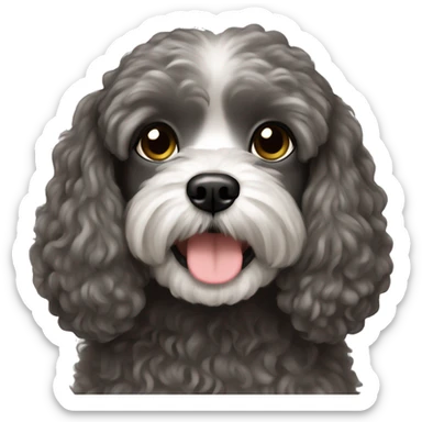 Brunette girl long straight hair, holding a dark gray maltipoo with a white snout sticker