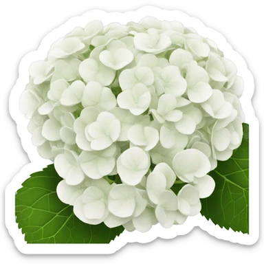 white hydrangea sticker