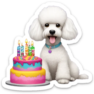 White poodle with a cake sticker