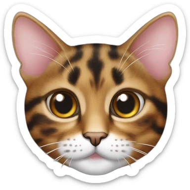 tortoiseshell tabby cat arrows on the eyes sticker