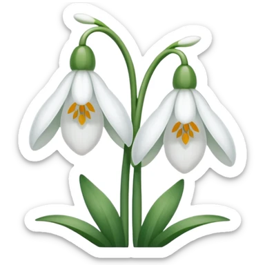 double snowdrop sticker