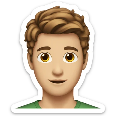 19 yo boy with brown shot hair, no mustache, no beard, brown eyes sticker
