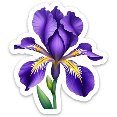 blue flag iris flower sticker