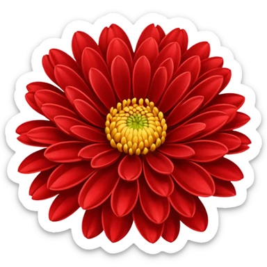 chrysanthemum flower full red sticker