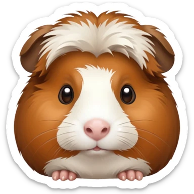 Guinea pig sticker