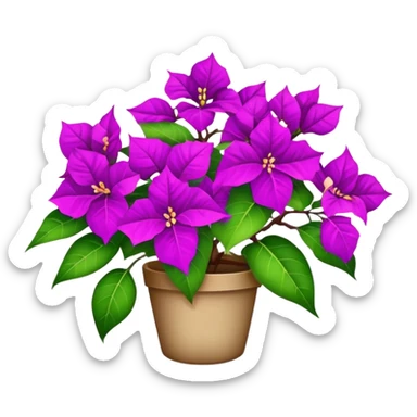 Bougainvillea  sticker