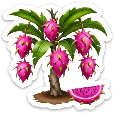 dragon fruit tree sticker