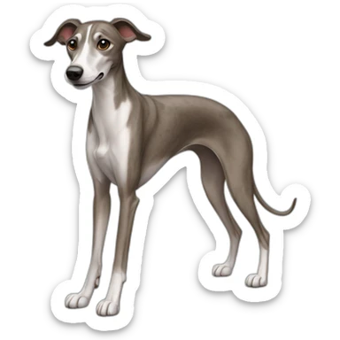 dog whippet brindle sticker