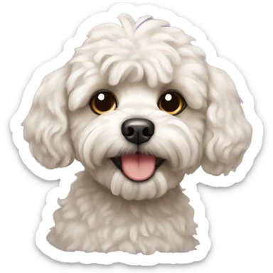 Dog maltipoo  sticker