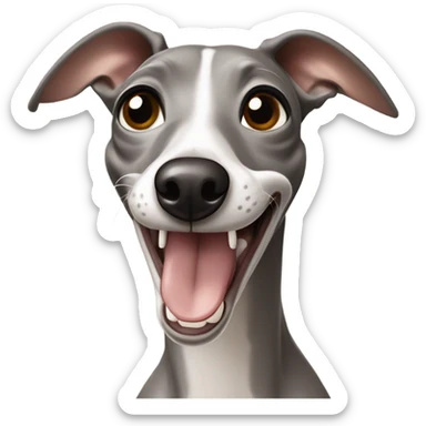 Grey and beige italian greyhound laughing  sticker