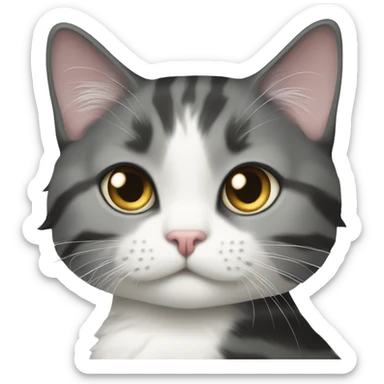 longhair tuxedo cat with a shorthair grey tabby sticker