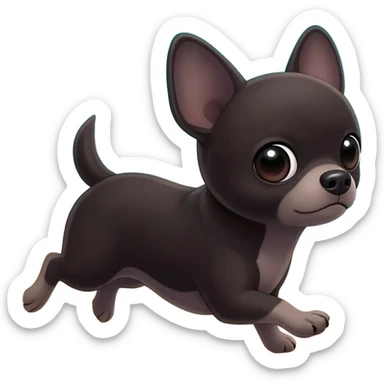 Bébé chihuahua noir marrant poil courut en vacances à la plage une poil courte sticker