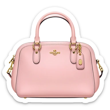 pastel pink coach purse sticker