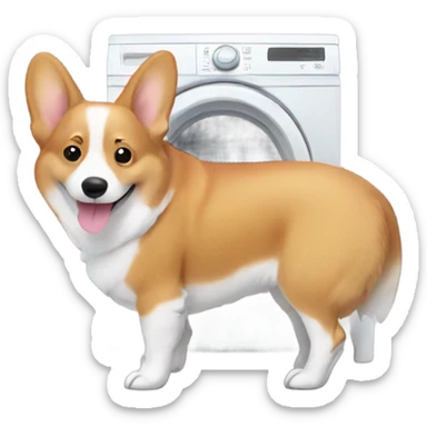Corgi doing laundry sticker