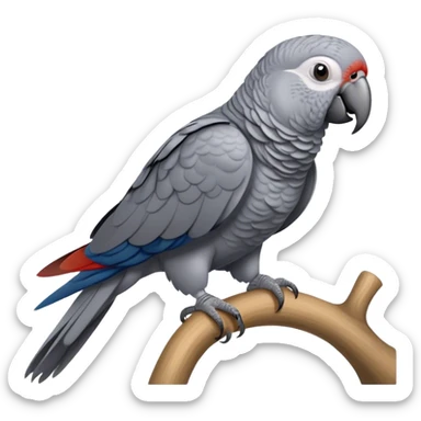 African gray parrot on a perch stand sticker