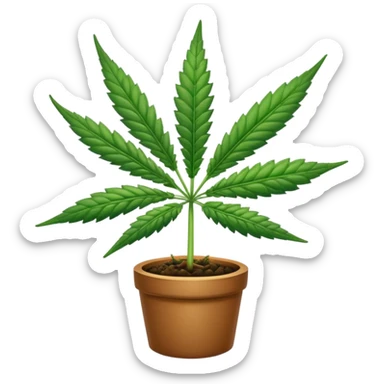 Cannabis sticker