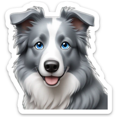 Gray border collie with blue eyes sticker