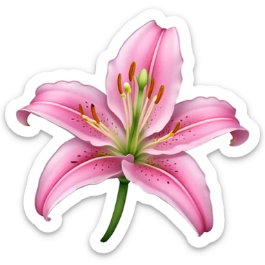 Pink lily flower sticker