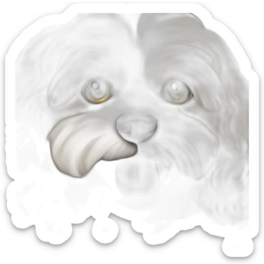 cavachon sticker