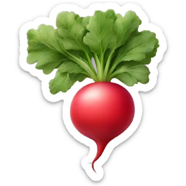 Radish fruit sticker