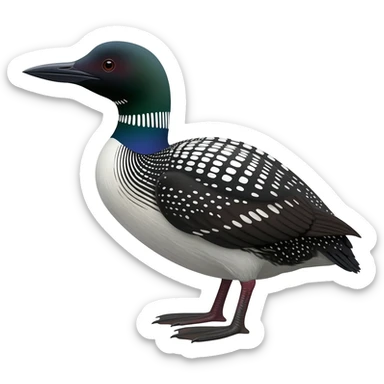 oil spill with a sad common loon in it sticker