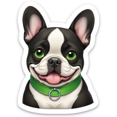 French bulldog black whit will a green collar  sticker
