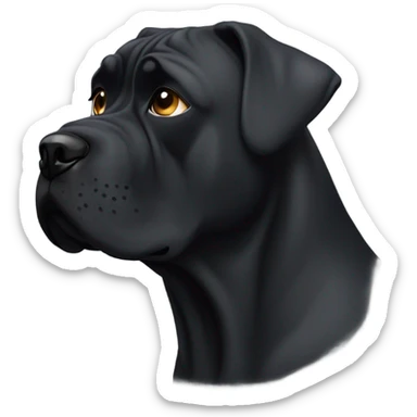  A CaneCorso with a tear in his left eye. sticker