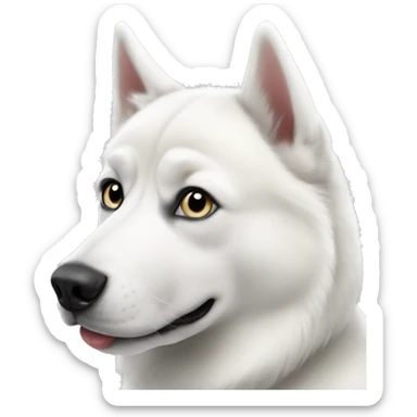 White siberian husky  sticker