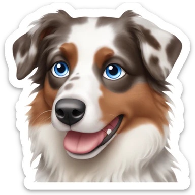 Red Merle Australian shepherd with blue eyes  sticker
