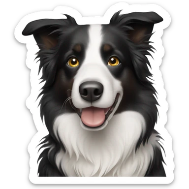 Border collie sticker