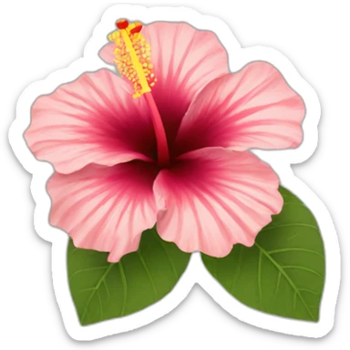 hibiscus  sticker