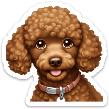 toy poodle red brown with white spot on chest without collar sticker